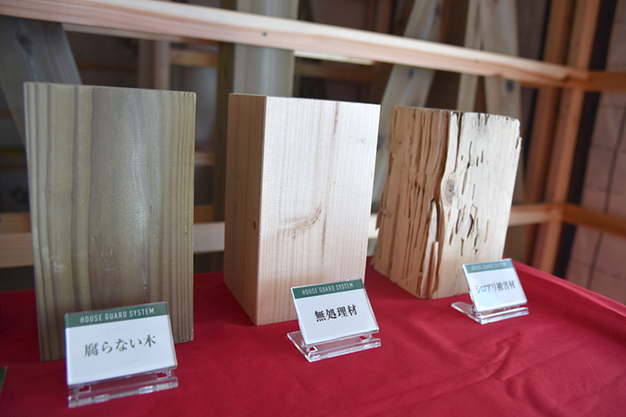 シロアリ対策はもう不要?