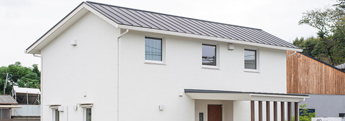 次世代ガルバリウム鋼板 ニスクカラーPro